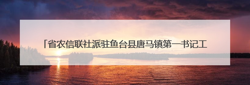 省农信联社派驻鱼台县唐马镇第一书记工作队助力“三夏”生产 彰显为民担当