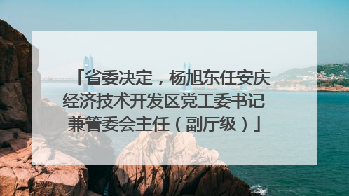 省委决定，杨旭东任安庆经济技术开发区党工委书记兼管委会主任（副厅级）