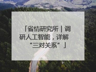 省情研究所｜调研人工智能，详解“三对关系”