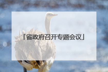 省政府召开专题会议