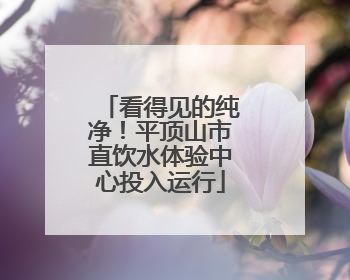 看得见的纯净！平顶山市直饮水体验中心投入运行