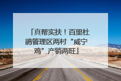真帮实扶！百里杜鹃管理区两村“威宁鸡”产销两旺