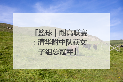 篮球｜耐高联赛：清华附中队获女子组总冠军