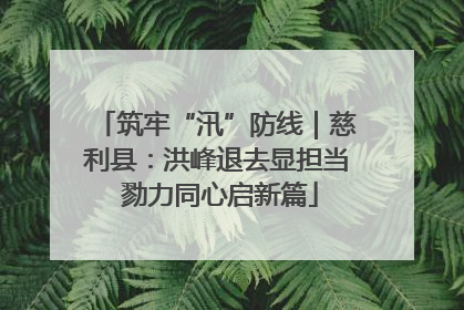 筑牢“汛”防线｜慈利县：洪峰退去显担当 勠力同心启新篇