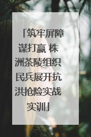 筑牢屏障谋打赢 株洲茶陵组织民兵展开抗洪抢险实战实训