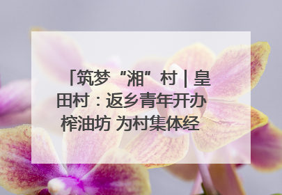 筑梦“湘”村｜皇田村：返乡青年开办榨油坊 为村集体经济“加油”