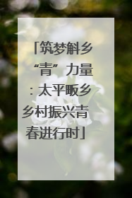 筑梦斛乡“青”力量：太平畈乡乡村振兴青春进行时