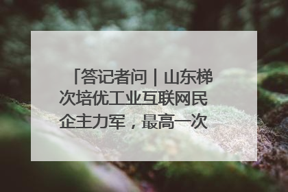 答记者问｜山东梯次培优工业互联网民企主力军，最高一次性奖补500万元