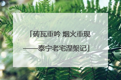 砖瓦重吟 烟火重现——泰宁老宅涅槃记