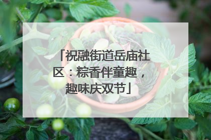 祝融街道岳庙社区：粽香伴童趣，趣味庆双节