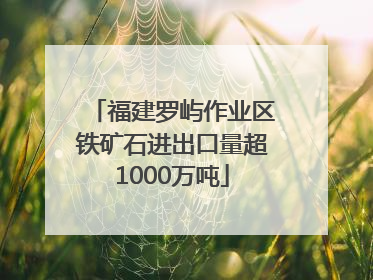 福建罗屿作业区铁矿石进出口量超1000万吨