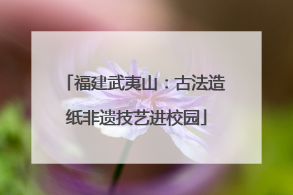 福建武夷山：古法造纸非遗技艺进校园