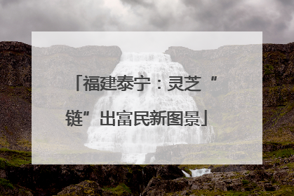 福建泰宁：灵芝“链”出富民新图景