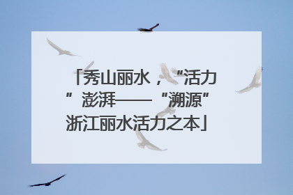 秀山丽水，“活力”澎湃——“溯源”浙江丽水活力之本