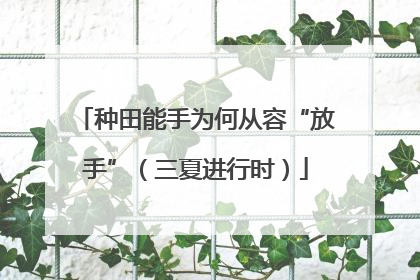 种田能手为何从容“放手”（三夏进行时）
