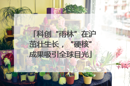 科创“雨林”在沪茁壮生长，“硬核”成果吸引全球目光