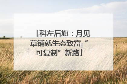 科左后旗：月见草铺就生态致富“可复制”新路