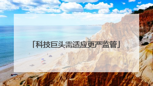 科技巨头需适应更严监管