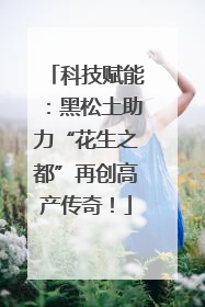 科技赋能：黑松土助力“花生之都”再创高产传奇！