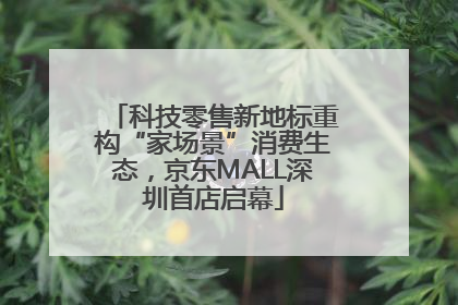 科技零售新地标重构“家场景”消费生态，京东MALL深圳首店启幕