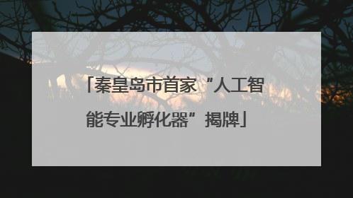 秦皇岛市首家“人工智能专业孵化器”揭牌
