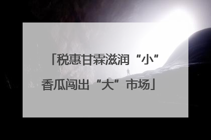 税惠甘霖滋润“小”香瓜闯出“大”市场