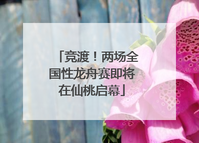 竞渡！两场全国性龙舟赛即将在仙桃启幕