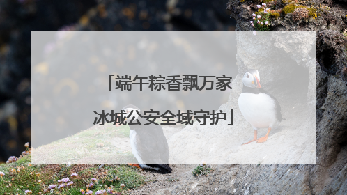端午粽香飘万家 冰城公安全域守护