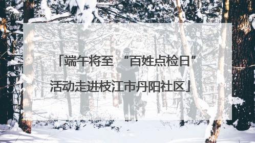 端午将至 “百姓点检日”活动走进枝江市丹阳社区