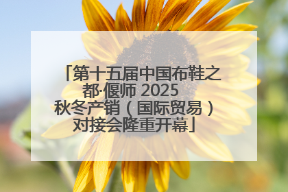 第十五届中国布鞋之都·偃师 2025 秋冬产销（国际贸易）对接会隆重开幕