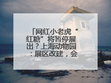 网红小老虎“红糖”将暂停展出？上海动物园：展区改建，会安排展出计划