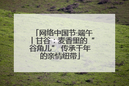 网络中国节·端午丨甘谷：麦香里的“谷角儿” 传承千年的亲情纽带