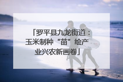 罗平县九龙街道：玉米制种“苗”绘产业兴农新画卷