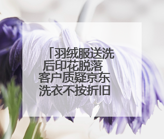 羽绒服送洗后印花脱落 客户质疑京东洗衣不按折旧标准赔偿