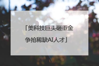 美科技巨头砸重金争抢稀缺AI人才