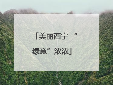 美丽西宁 “绿意”浓浓