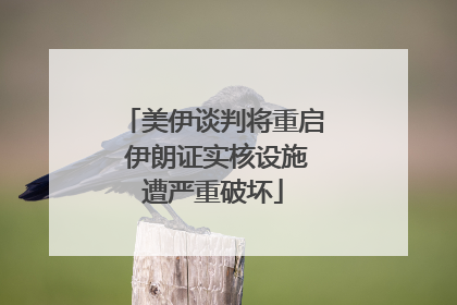 美伊谈判将重启 伊朗证实核设施遭严重破坏