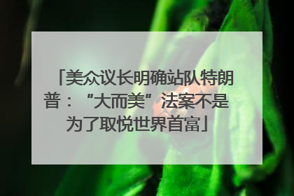 美众议长明确站队特朗普：“大而美”法案不是为了取悦世界首富