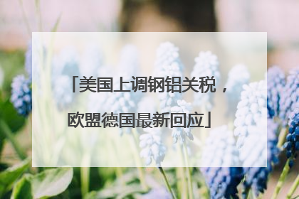 美国上调钢铝关税，欧盟德国最新回应