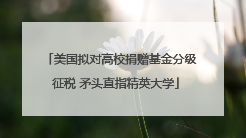 美国拟对高校捐赠基金分级征税 矛头直指精英大学