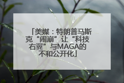 美媒：特朗普马斯克“闹崩”让“科技右翼”与MAGA的不和公开化