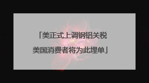 美正式上调钢铝关税 美国消费者将为此埋单