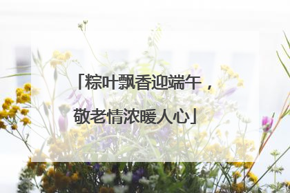粽叶飘香迎端午，敬老情浓暖人心
