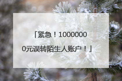 紧急！10000000元误转陌生人账户！