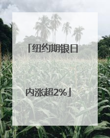 纽约期银日内涨超2%