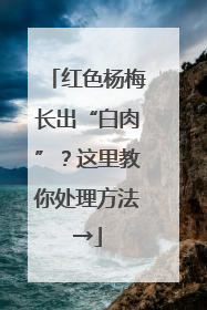 红色杨梅长出“白肉”？这里教你处理方法→