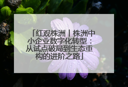 红观株洲丨株洲中小企业数字化转型：从试点破局到生态重构的进阶之路