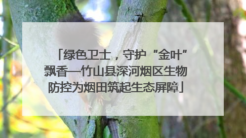 绿色卫士，守护“金叶”飘香—竹山县深河烟区生物防控为烟田筑起生态屏障
