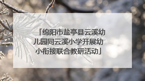 绵阳市盐亭县云溪幼儿园同云溪小学开展幼小衔接联合教研活动