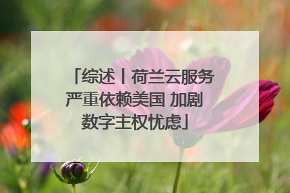 综述丨荷兰云服务严重依赖美国 加剧数字主权忧虑
